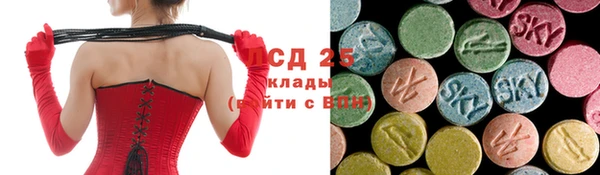 стаф Алзамай