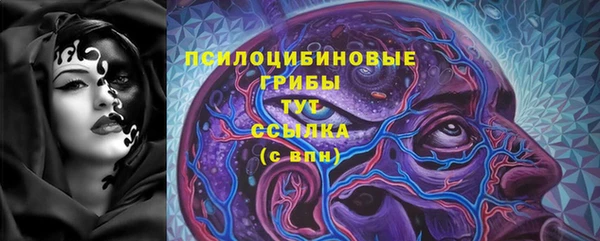 МДПВ Алексин