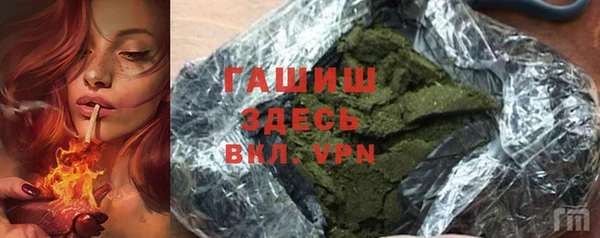 стаф Алзамай