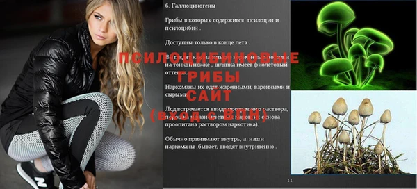 стаф Алзамай