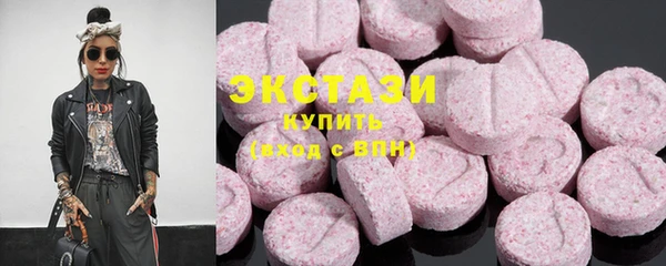 стаф Алзамай