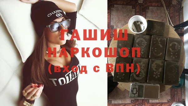 стаф Алзамай