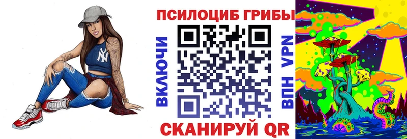 Псилоцибиновые грибы MAGIC MUSHROOMS  купить закладку  Казань 